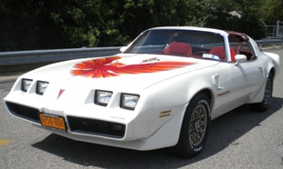 My 1979 Trans Am.